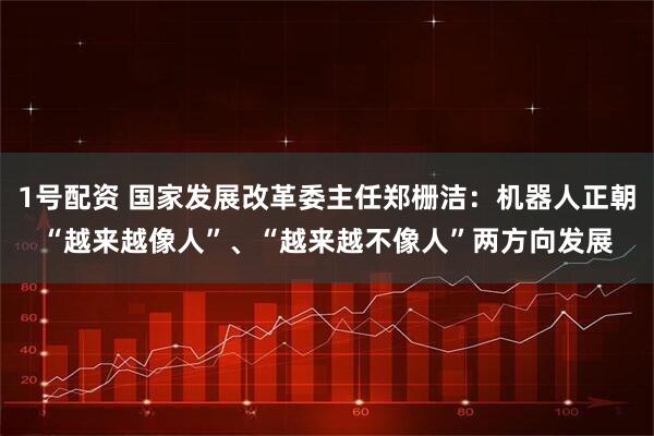 1号配资 国家发展改革委主任郑栅洁：机器人正朝“越来越像人”、“越来越不像人”两方向发展