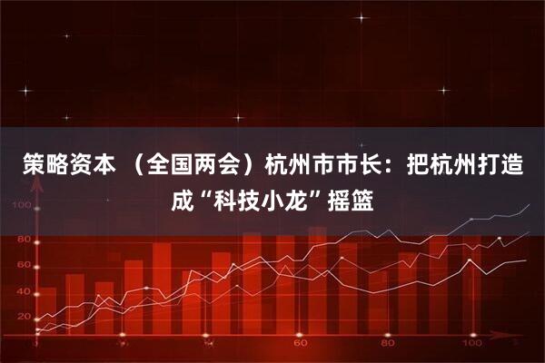 策略资本 （全国两会）杭州市市长：把杭州打造成“科技小龙”摇篮