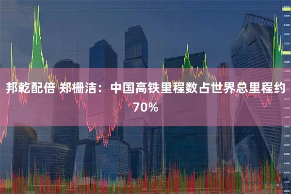 邦乾配倍 郑栅洁：中国高铁里程数占世界总里程约70%