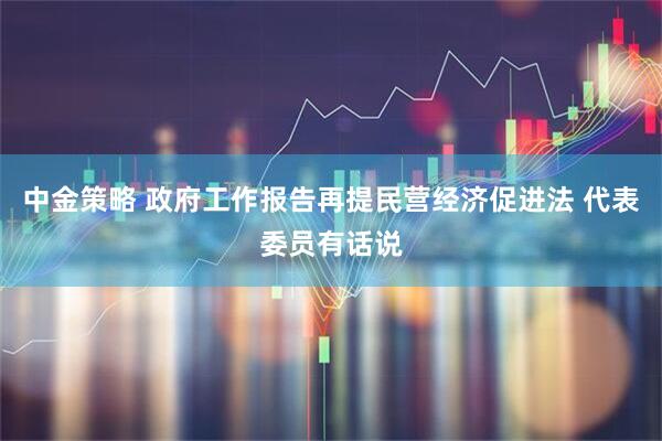 中金策略 政府工作报告再提民营经济促进法 代表委员有话说