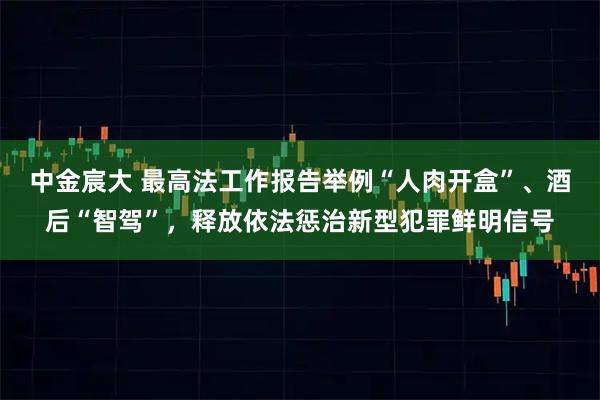 中金宸大 最高法工作报告举例“人肉开盒”、酒后“智驾”，释放依法惩治新型犯罪鲜明信号