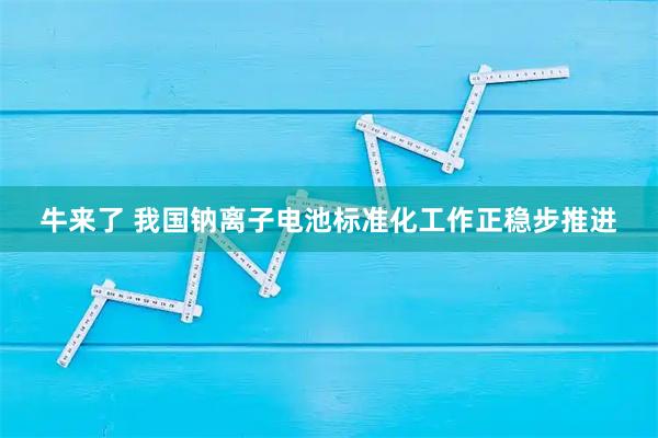 牛来了 我国钠离子电池标准化工作正稳步推进
