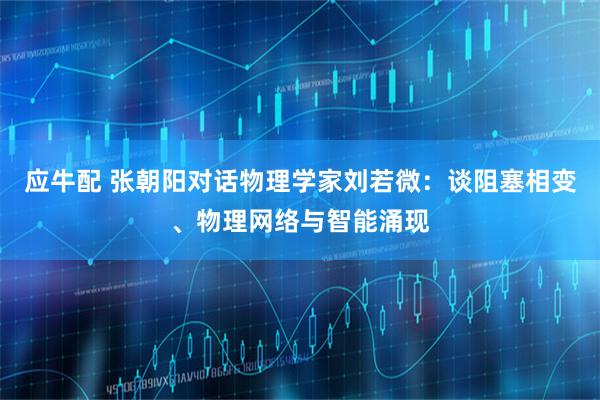 应牛配 张朝阳对话物理学家刘若微：谈阻塞相变、物理网络与智能涌现